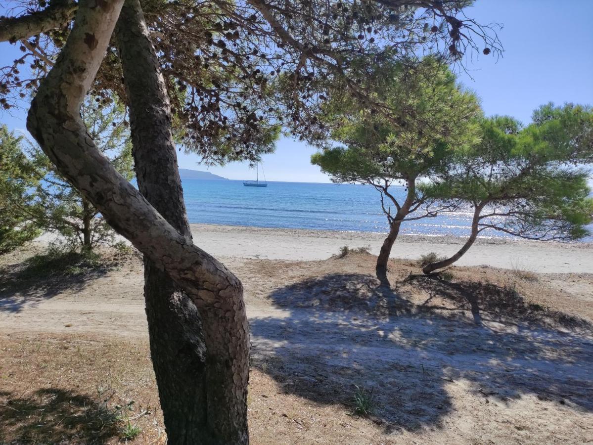 Dune Bianche Villa Porto Pino Exterior photo